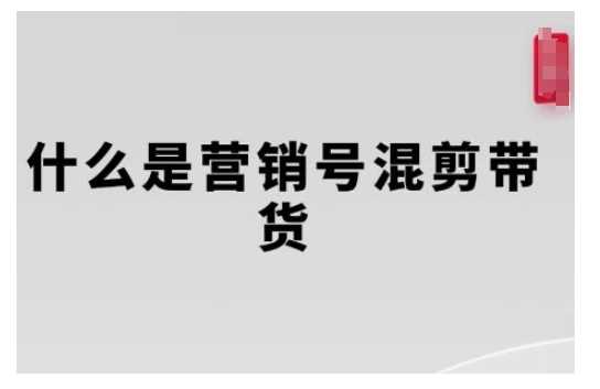 营销号混剪带货，从内容创作到流量变现的全流程，教你用营销号形式做混剪带货-占领资源网