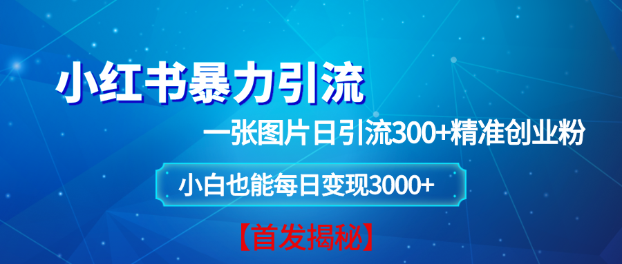（13935期）小红书暴力引流法，一张图片日引 300+精准创业粉，每日稳定变现 3000+【揭秘】-占领资源网
