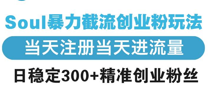 （13935期）Soul暴力截流创业粉玩法，当天注册当天进流量，日稳定300+精准创业粉丝-占领资源网