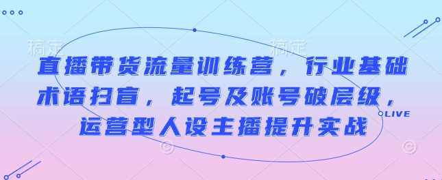 直播带货流量训练营，行业基础术语扫盲，起号及账号破层级，运营型人设主播提升实战-占领资源网