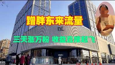 蹭胖东来流量，三天涨万粉，收益直接起飞-占领资源网