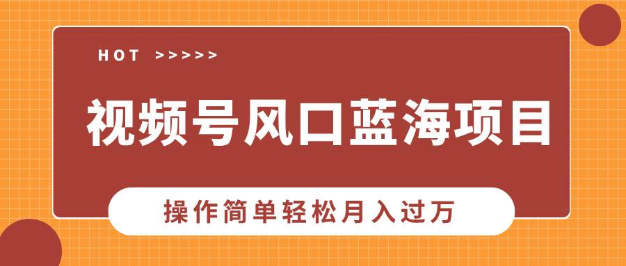 （13945期）视频号风口蓝海项目，中老年人的流量密码，操作简单轻松月入过万-占领资源网