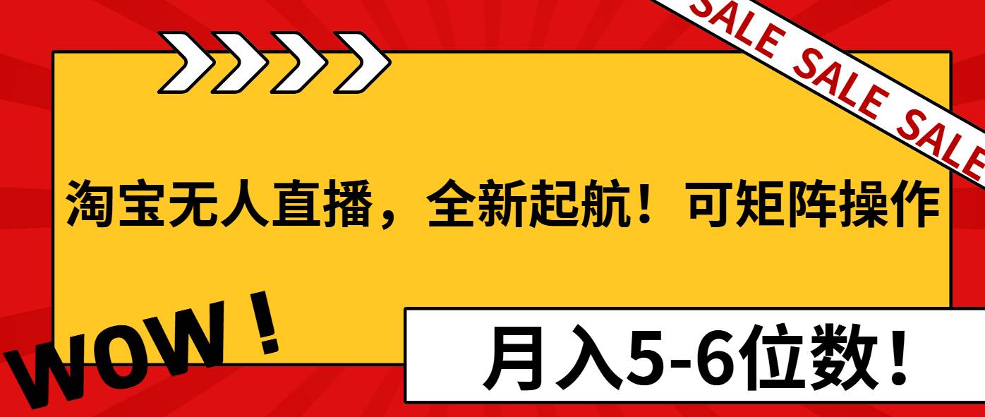 （13946期）淘宝无人直播，全新起航！可矩阵操作，月入5-6位数！-占领资源网