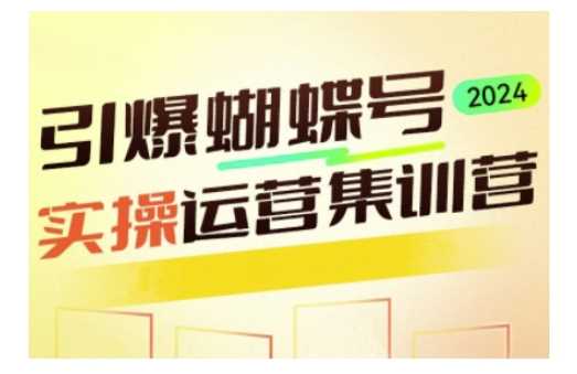 引爆蝴蝶号实操运营，助力你深度掌握蝴蝶号运营，实现高效实操，开启流量变现之路-占领资源网