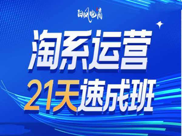 淘系运营21天速成班35期，年前最后一波和2025方向-占领资源网