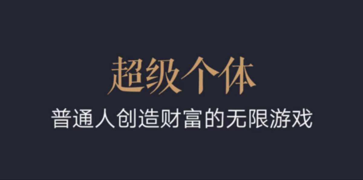 超级个体：2024-2025翻盘指南，普通人创造财富的无限游戏-占领资源网
