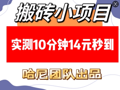搬砖小项目，实测10分钟14元秒到，每天稳定几张(赠送必看稳定)-占领资源网