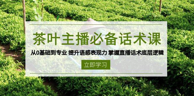 茶叶主播必备话术课 从0基础到专业 提升语感表现力 掌握直播话术底层逻辑-占领资源网