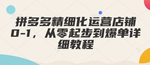 拼多多精细化运营店铺0-1，从零起步到爆单详细教程-占领资源网
