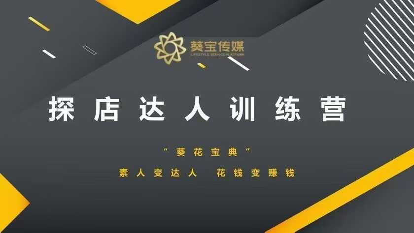探店达人训练营，素人变达人，花钱变赚钱-占领资源网