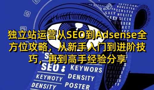 独立站运营从SEO到Adsense全方位攻略，从新手入门到进阶技巧，再到高手经验分享-占领资源网