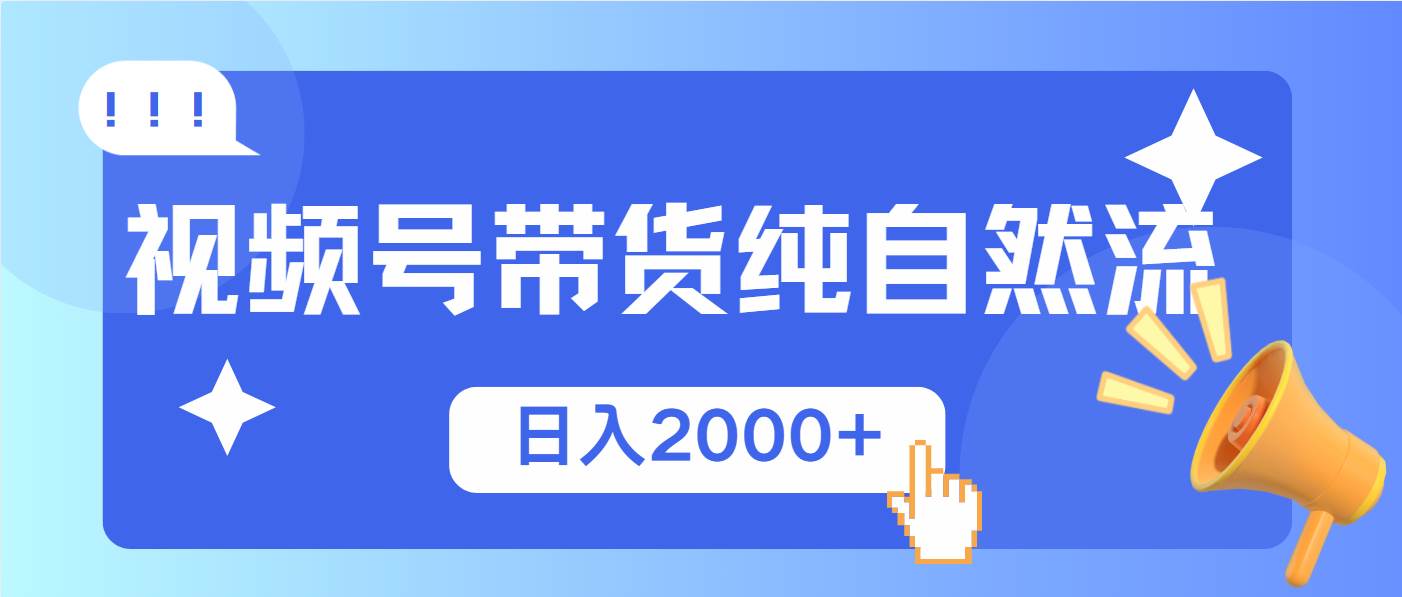 （13998期）视频号带货，纯自然流，起号简单，爆率高轻松日入2000+-占领资源网