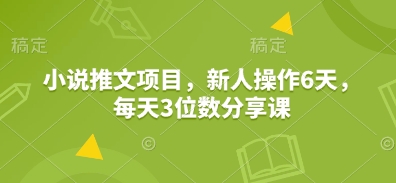 小说推文项目，新人操作6天，每天3位数分享课-占领资源网