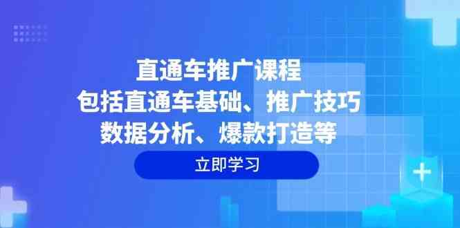 直通车推广课程：包括直通车基础、推广技巧、数据分析、爆款打造等-占领资源网