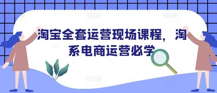 淘宝全套运营现场课程，淘系电商运营必学-占领资源网