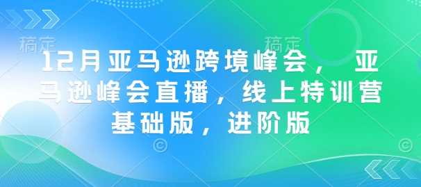 12月亚马逊跨境峰会， 亚马逊峰会直播，线上特训营基础版，进阶版-占领资源网