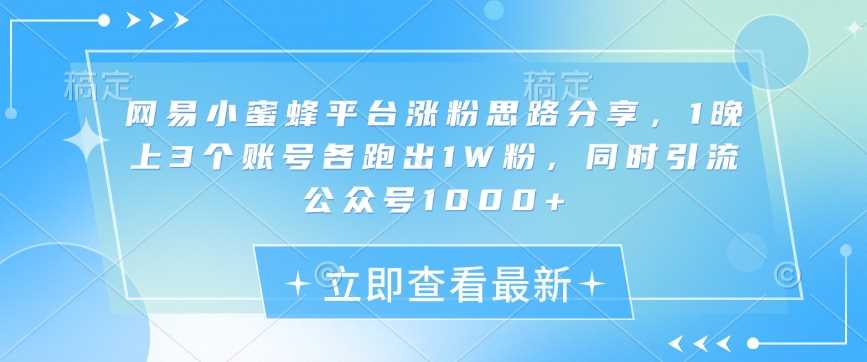网易小蜜蜂平台涨粉思路分享，1晚上3个账号各跑出1W粉，同时引流公众号1000+-占领资源网