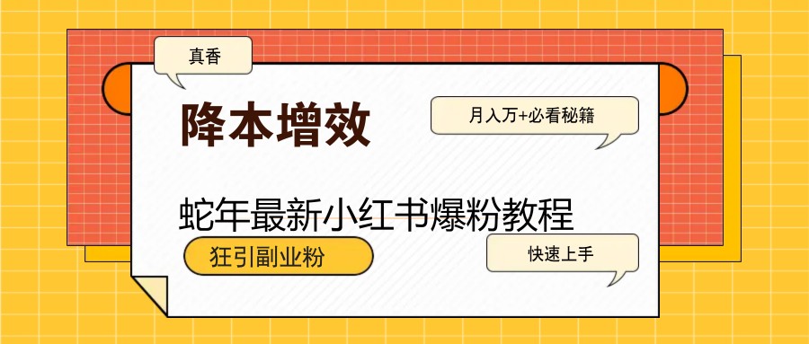 蛇年最新小红书爆粉教程，狂引副业粉，月入万+必看-占领资源网
