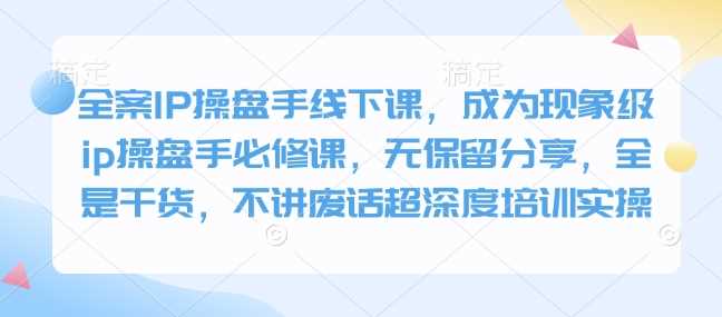 全案IP操盘手线下课，成为现象级ip操盘手必修课，无保留分享，全是干货，不讲废话超深度培训实操-占领资源网