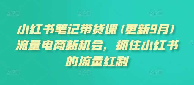 小红书笔记带货课(更新25年1月)流量电商新机会，抓住小红书的流量红利-占领资源网