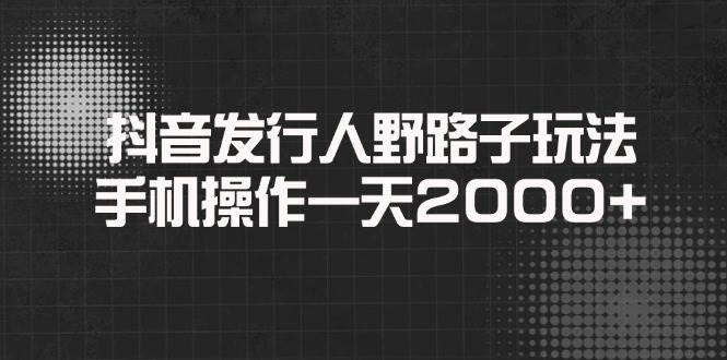（14068期）抖音发行人野路子玩法，手机操作一天2000+-占领资源网