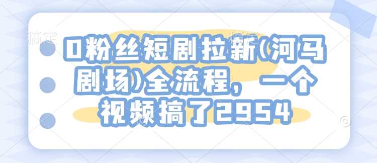 0粉丝短剧拉新(河马剧场)全流程，一个视频搞了2954-占领资源网