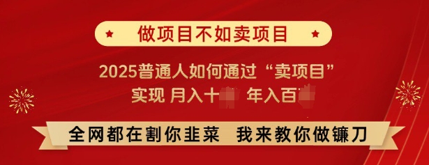 必看，做项目不如卖项目，2025普通人如何通过“卖项目”实现月入十个，年入百个-占领资源网
