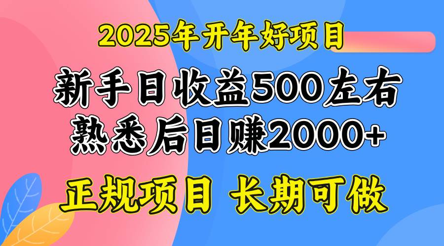 （14076期）2025开年好项目，单号日收益2000左右-占领资源网