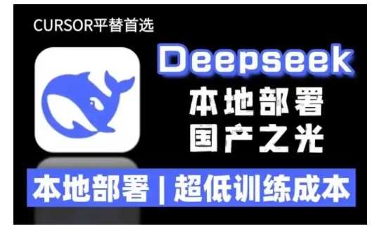 2025年deepseek R1 大型模型本地安装部署(文件+教程)本地部署，超低训练成本-占领资源网