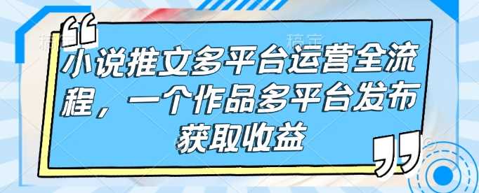 小说推文多平台运营全流程，一个作品多平台发布获取收益-占领资源网