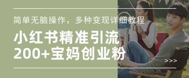 小红书混剪日引200+宝妈创业粉，简单无脑操作，多种变现详细教程-占领资源网