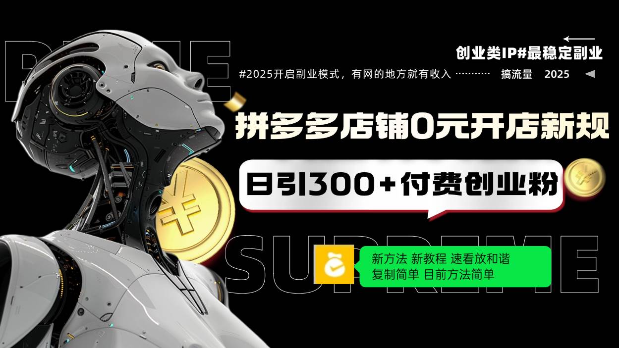 （14092期）拼多多店铺0元开店新规，日引300+付费创业粉，目前方法简单复制粘贴可矩阵-占领资源网