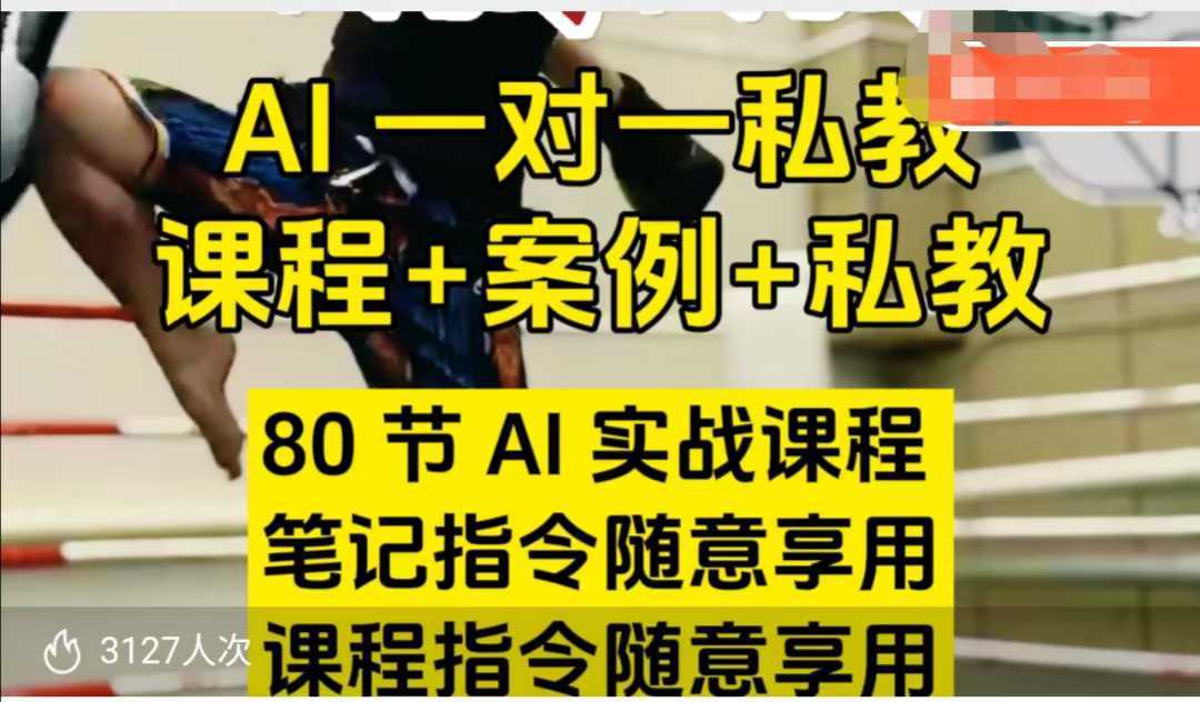 AI指令实战课，课程+案例，80节AI实战课程，笔记指令随意享用，课程指令随意享用-占领资源网