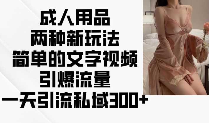 成人用品两种新玩法，简单的文字视频引爆流量，一天引流私域300+-占领资源网
