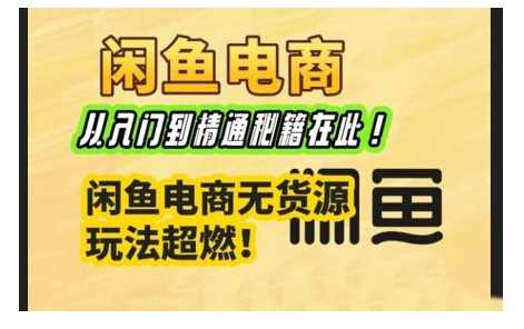 闲鱼电商实战课，从入门到精通秘籍在此，闲鱼电商无货源玩法超燃!-占领资源网