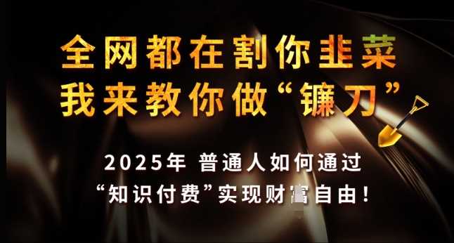 全网都在割你韭菜，我来教你做镰刀，2025年普通人如何通过 知识付费 实现财F自由【揭秘】-占领资源网