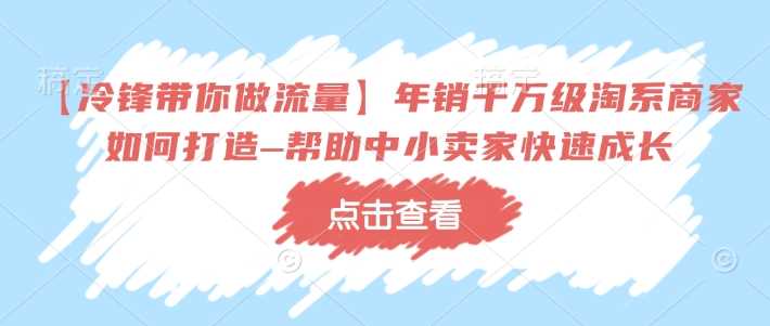 【冷锋带你做流量】年销千万级淘系商家如何打造–帮助中小卖家快速成长-占领资源网