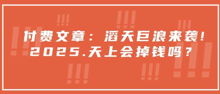 付费文章：滔天巨浪来袭！2025天上会掉钱吗？-占领资源网