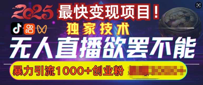 欲罢不能的无人直播引流，超暴力日引流1000+高质量精准创业粉-占领资源网