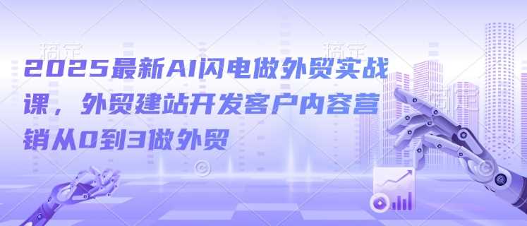 2025最新AI闪电做外贸实战课，外贸建站开发客户内容营销从0到3做外贸-占领资源网