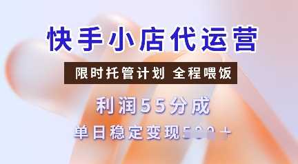快手小店代运营，限时托管计划，收益55分，单日稳定变现多张【揭秘】-占领资源网