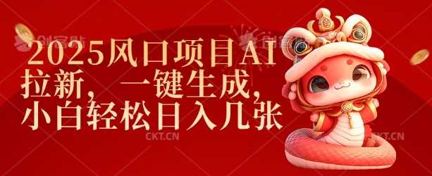 2025风口项目AI拉新，一键生成，小白轻松日入几张-占领资源网