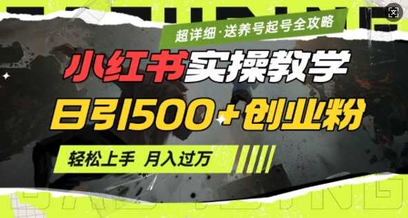 2月小红书最新日引500+创业粉实操教学【超详细】小白轻松上手，月入1W+，附小红书养号起号SOP-占领资源网