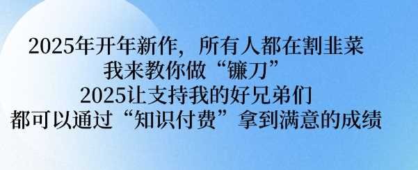 2025年开年新作，所有人都在割韭菜，我来教你做“镰刀” 2025让支持我的好兄弟们都可以通过“知识付费”拿到满意的成绩【揭秘】-占领资源网