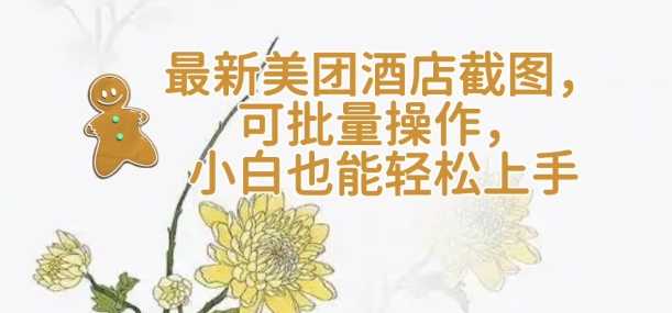 【轻云】最新美团酒店截图，可批量操作，小白也能轻松上手-占领资源网
