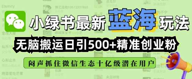 小绿书无脑搬运引流，全自动日引500精准创业粉，微信生态内又一个闷声发财的机会-占领资源网