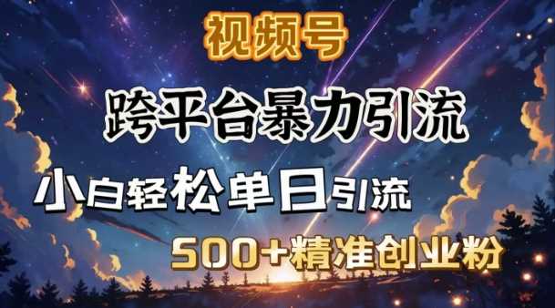 跨平台暴力引流，私域完美闭环，日引500+精准创业粉-占领资源网