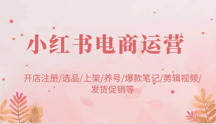 小红书电商运营：开店注册/选品/上架/养号/爆款笔记/剪辑视频/发货促销等-占领资源网