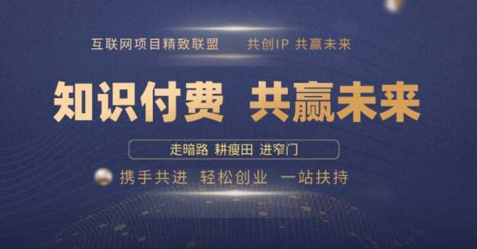 别人苦寻无果，为何他们靠知识付费卖项目 2025 年轻松年入100个?【揭秘】-占领资源网