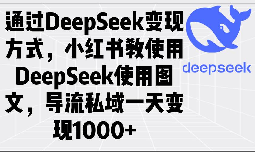 （14179期）通过DeepSeek变现方式，小红书教使用DeepSeek图文，导流私域一天变现1000+-占领资源网